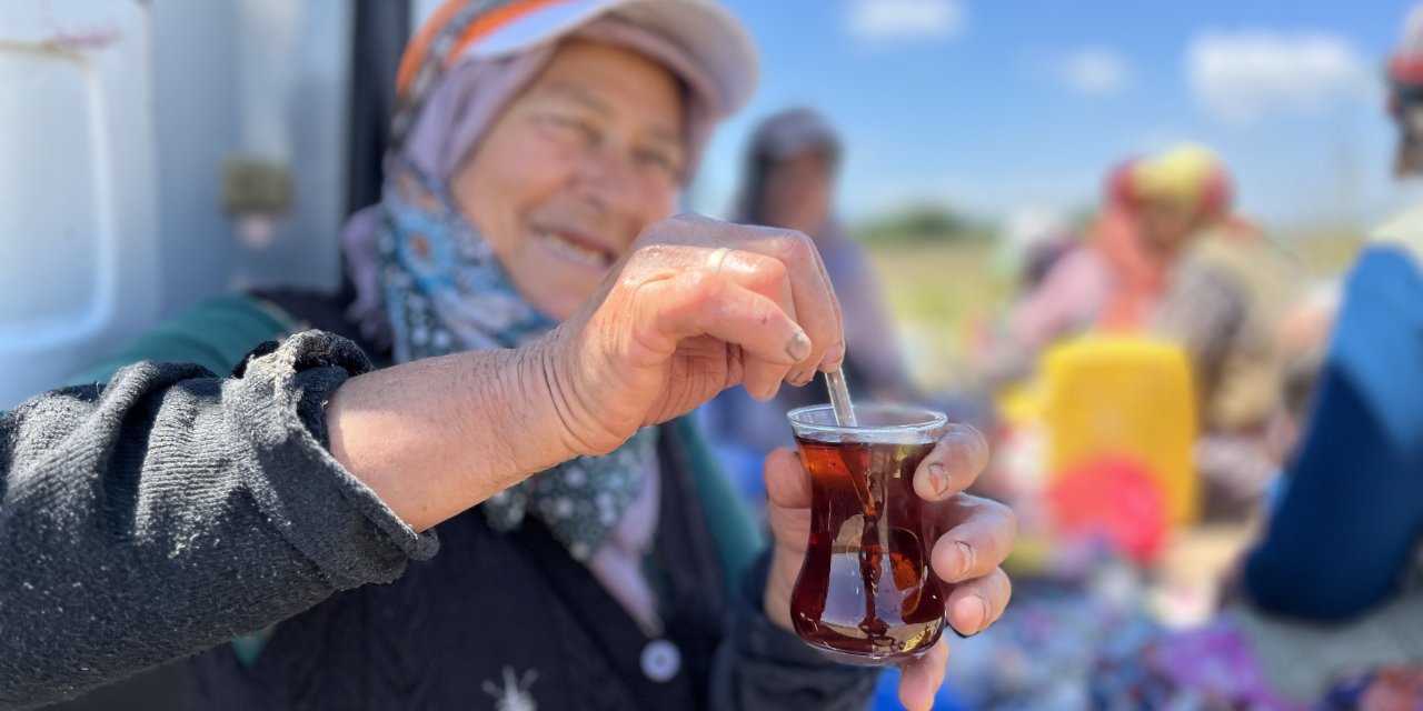 Tarlada yoruluyorlar odun ateşinde   matarada çayla dinleniyorlar