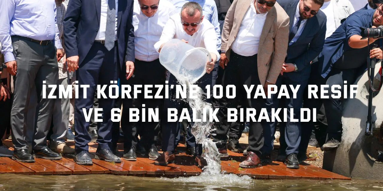 İzmit Körfezi’ne 100 yapay resif ve 6 bin balık bırakıldı