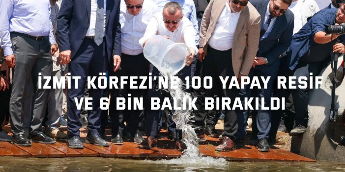 İzmit Körfezi’ne 100 yapay resif ve 6 bin balık bırakıldı