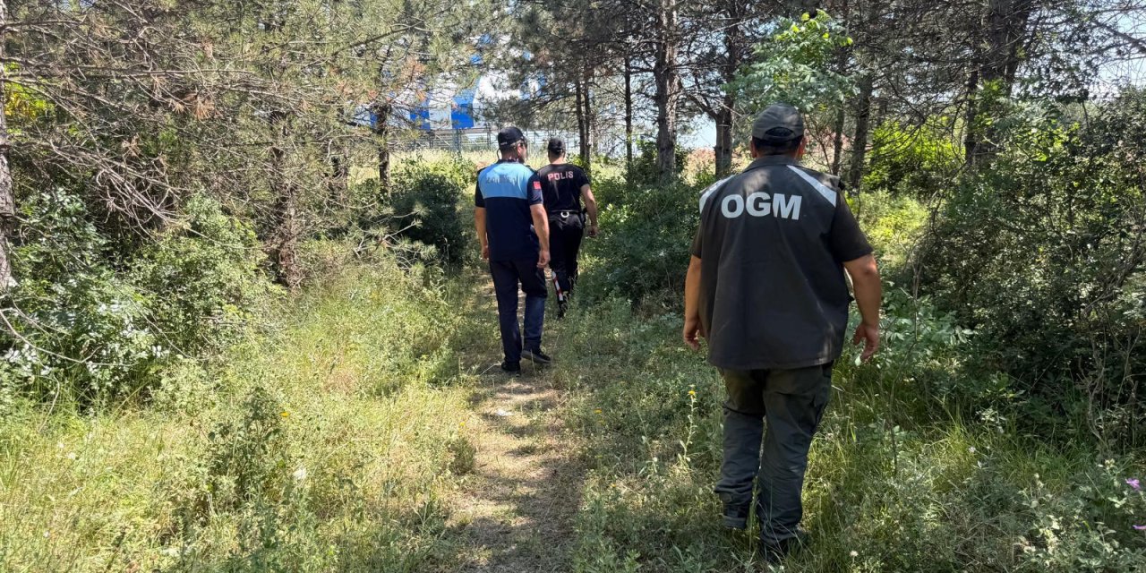 Dilovası’na Orman Yangınlarına Karşı Sıkı Denetim