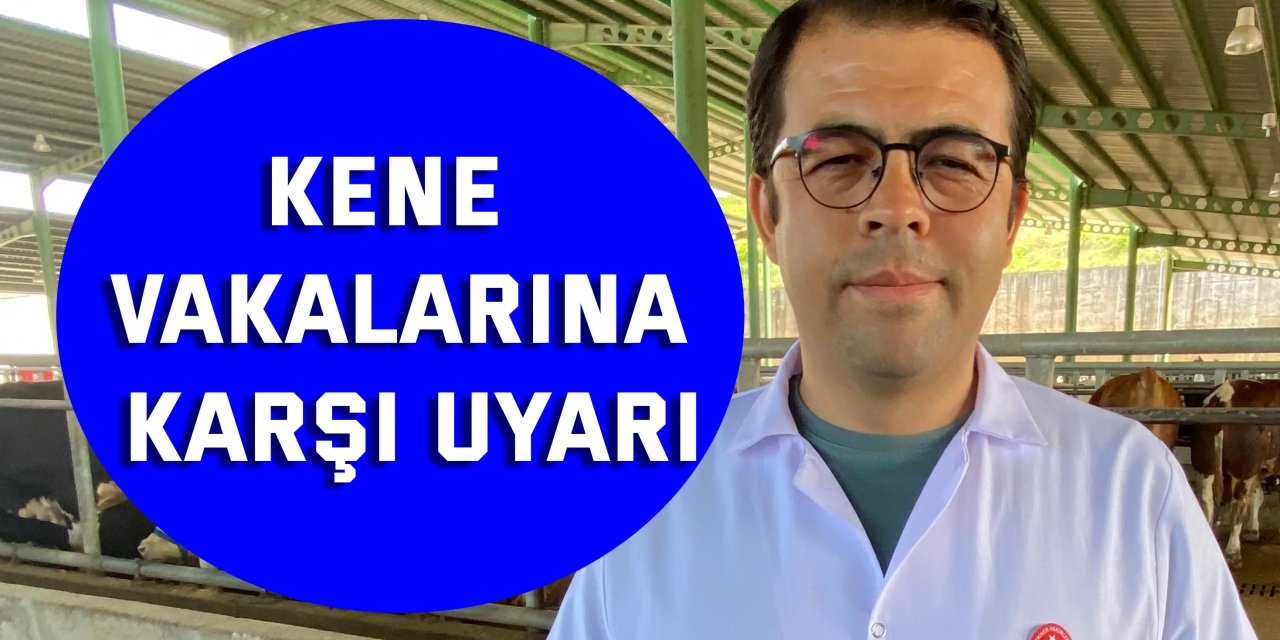 Kene tehdidine dikkat: 200'den fazla hastalık etkeni taşıyabiliyor
