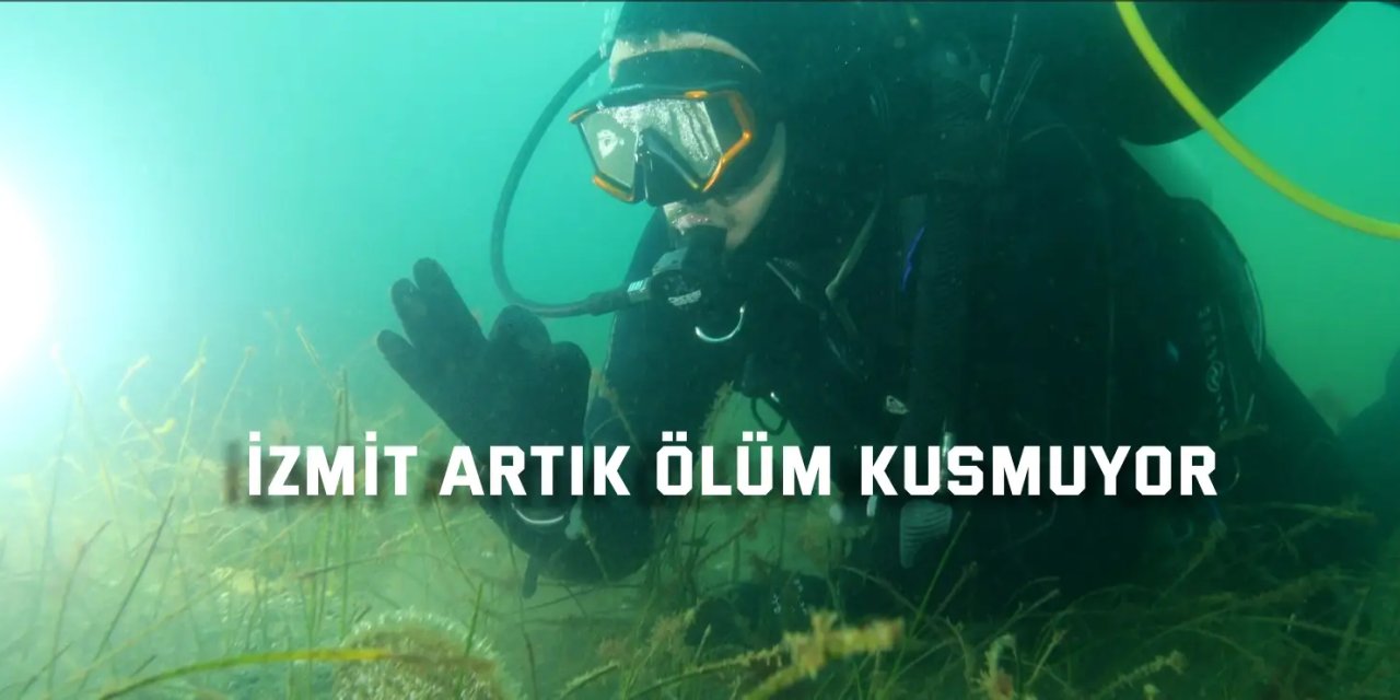 Kalamar, iskorpit ve daha niceleri