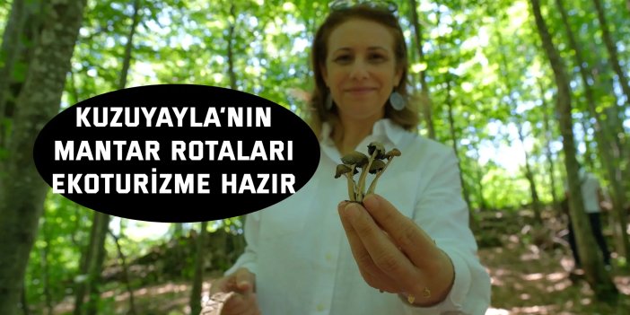 Kuzuyayla’nın mantar rotaları ekoturizme hazır