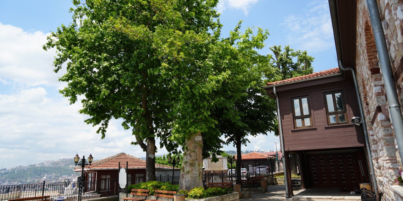 Sembol caminin 6 asırlık çınarı yıldırımlara rağmen ayakta