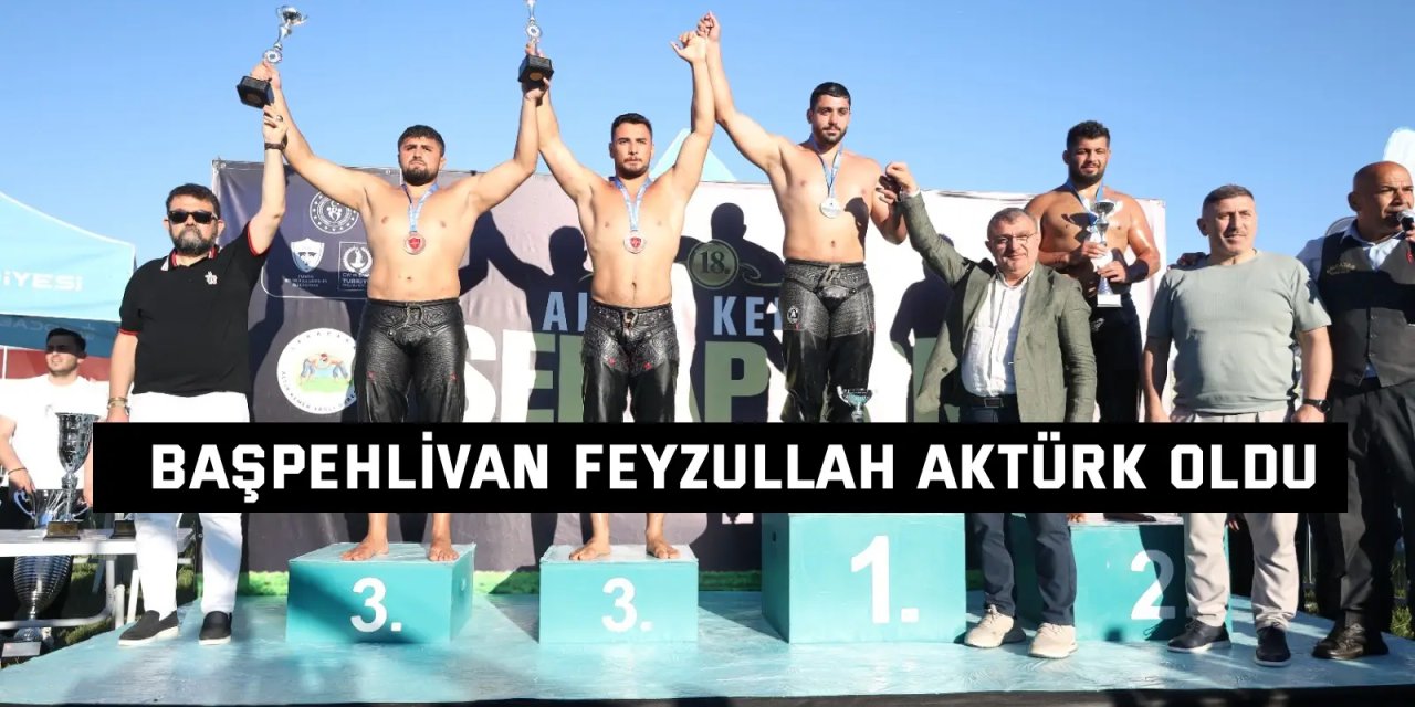 Başpehlivan Feyzullah Aktürk oldu