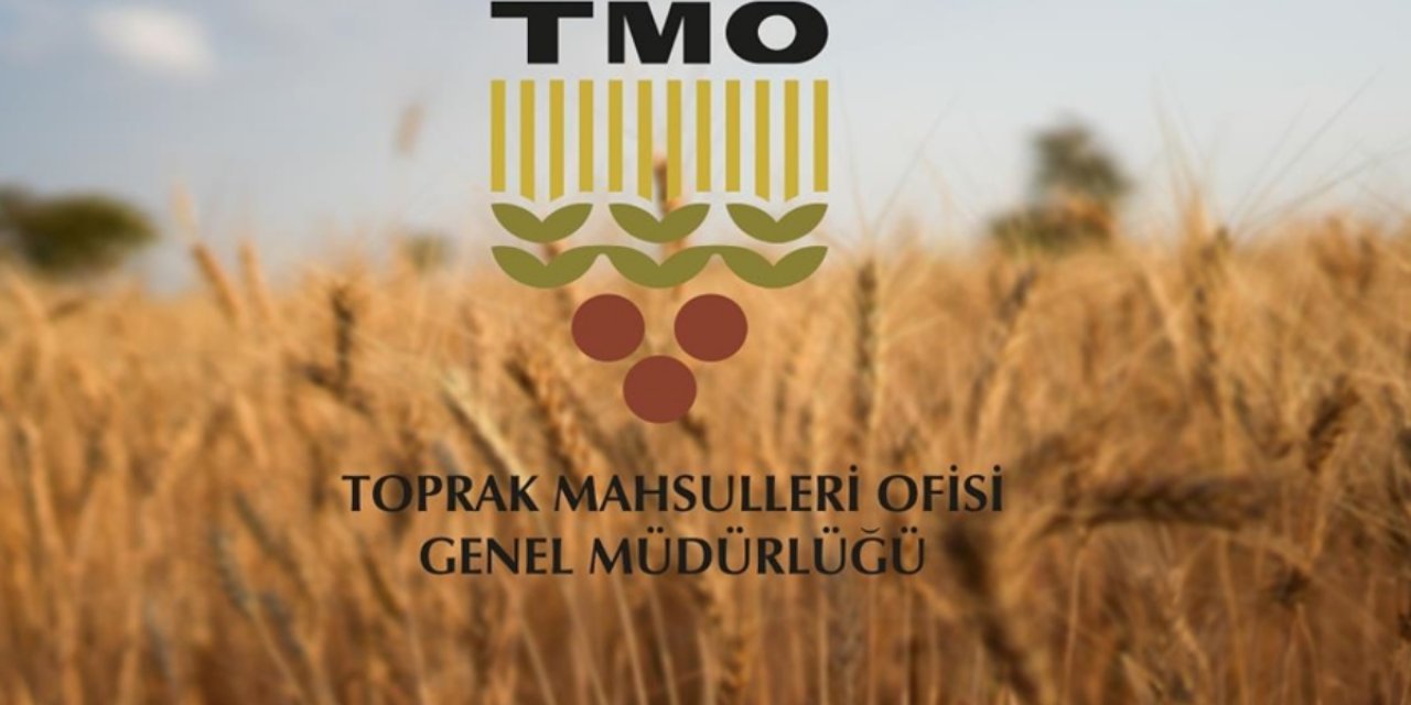 TMO Yüksek Maaşla KPSS'li Memur Alacak! Başvurular Başlıyor