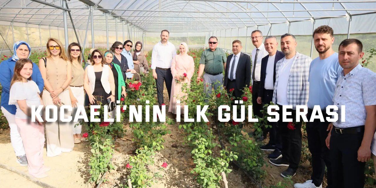 Kocaeli’nin ilk gül serası
