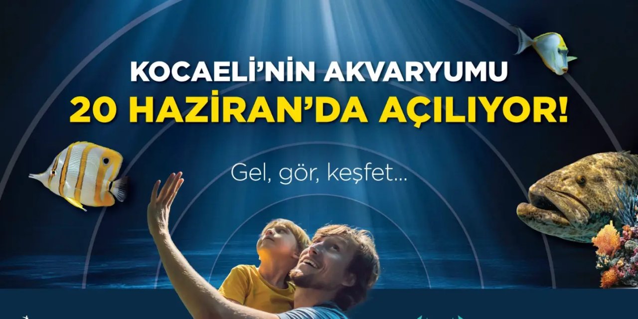 Körfez Aqua Kıtalar Akvaryumu kapılarını açıyor