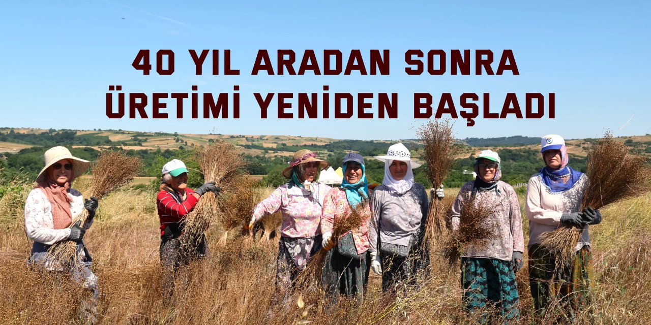 40 Yıl Aradan Sonra Keten Üretimi Yeniden Başladı