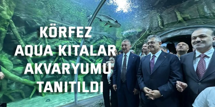 Körfez Aqua Kıtalar Akvaryumu Tanıtıldı