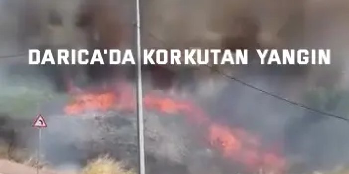 Darıca'da arazide korkutan yangın