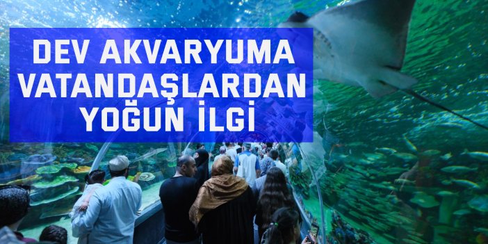 Dev akvaryuma vatandaşlardan yoğun ilgi