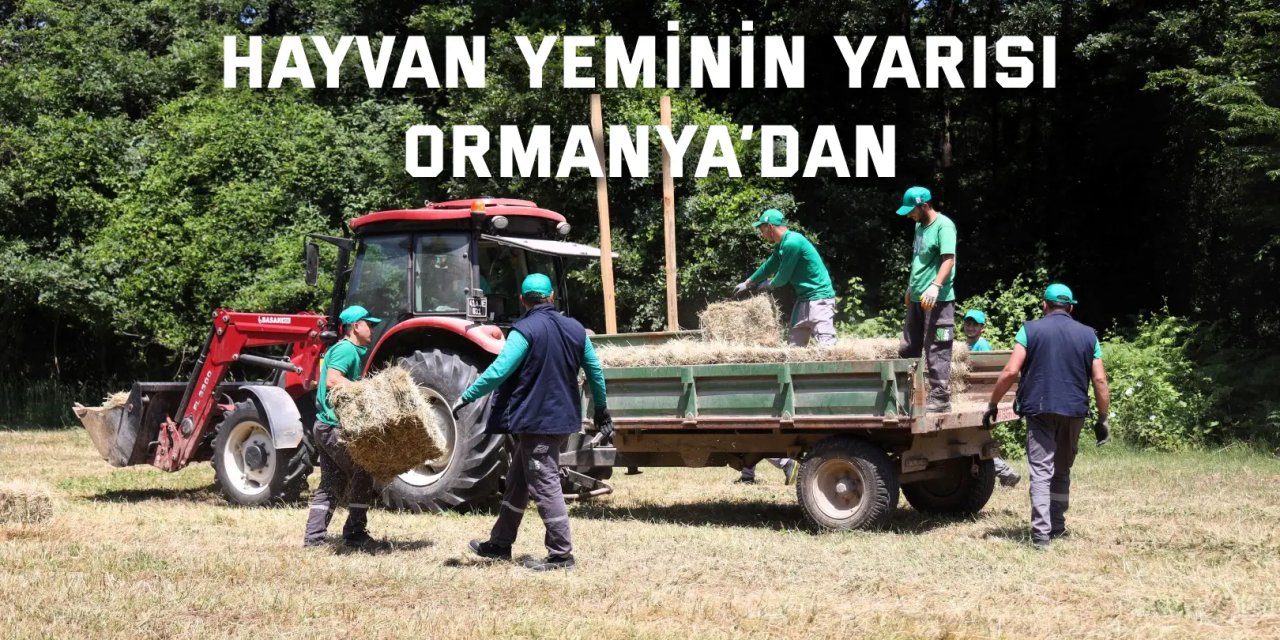 Ormanya kendi yemini kendi üretiyor