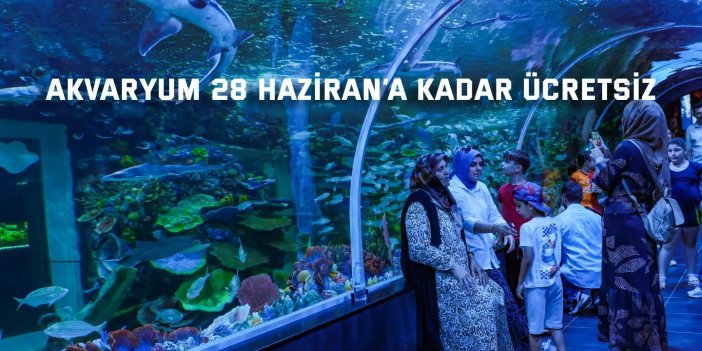 2 günde 36.809 ziyaretçi su altı yaşamını keşfetti