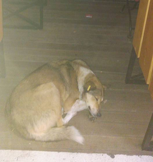 BİR KAP YEMEK, BİR KAP SU