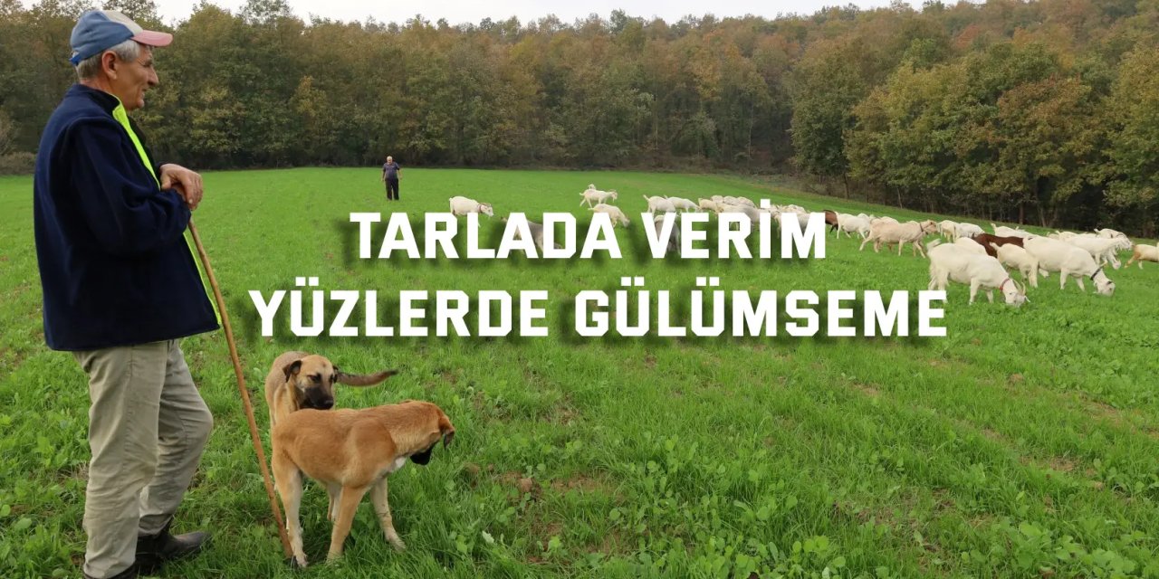 Büyükşehir destekledi, tarlada verim arttı