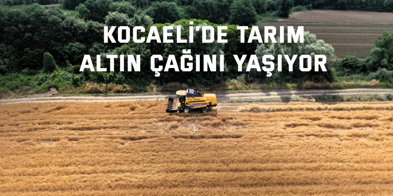 Kocaeli’de tarım, altın çağını yaşıyor
