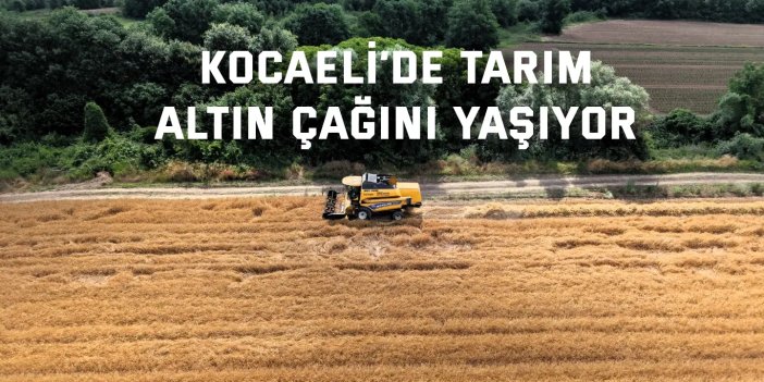 Kocaeli’de tarım, altın çağını yaşıyor