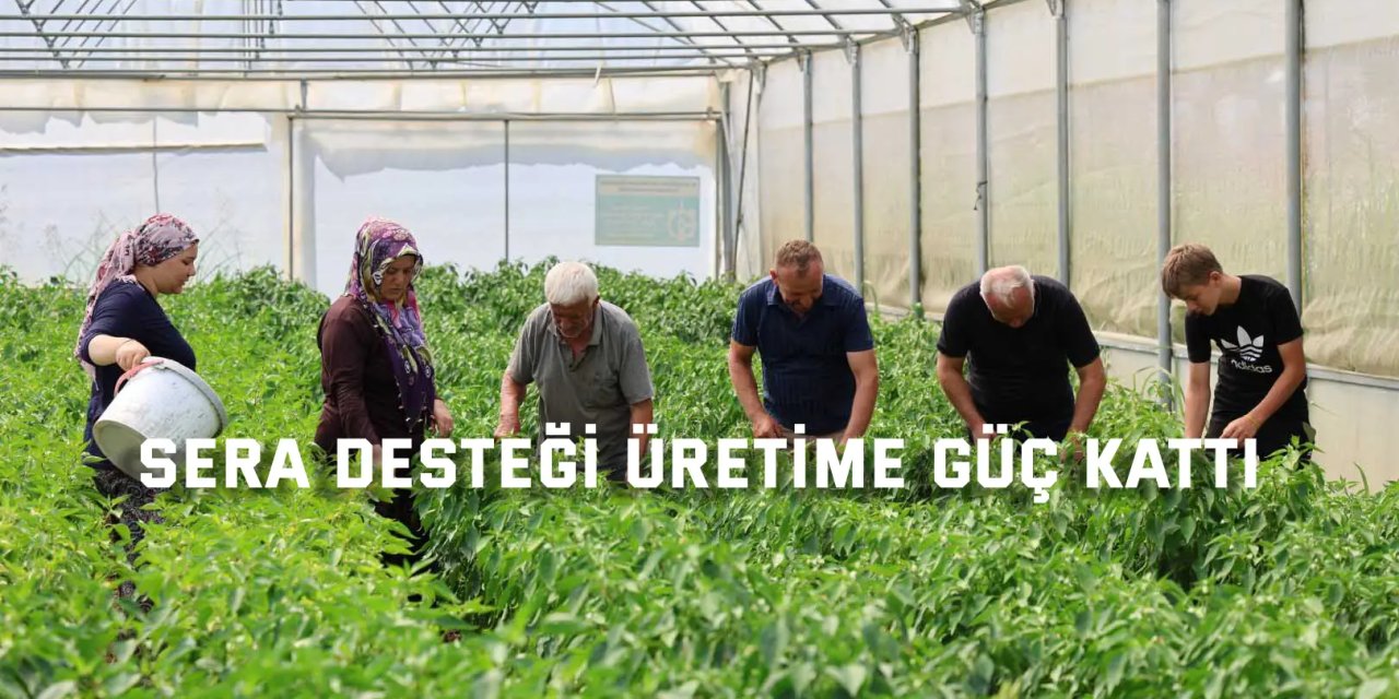 Sera desteği üretime güç kattı