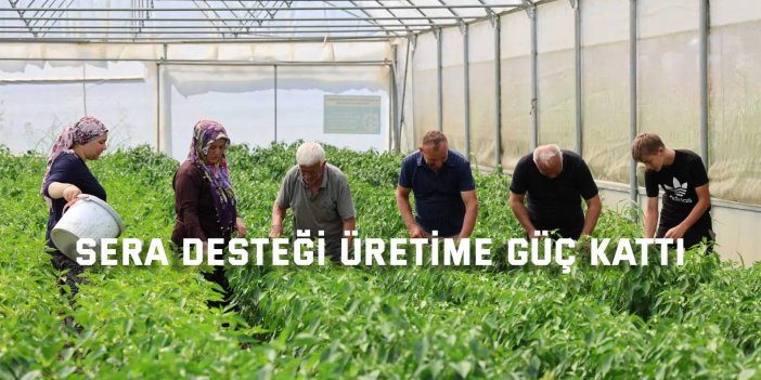 Sera desteği üretime güç kattı