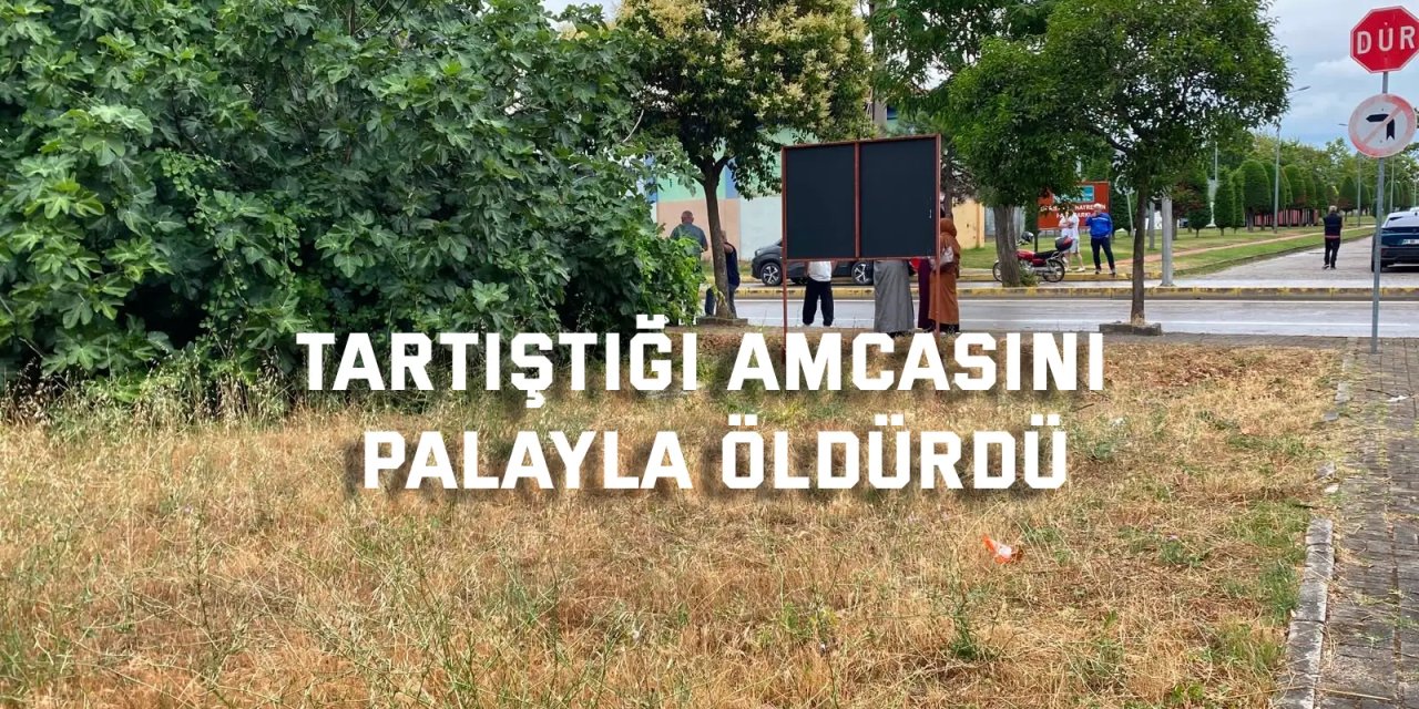 Tartıştığı amcasını palayla öldürdü