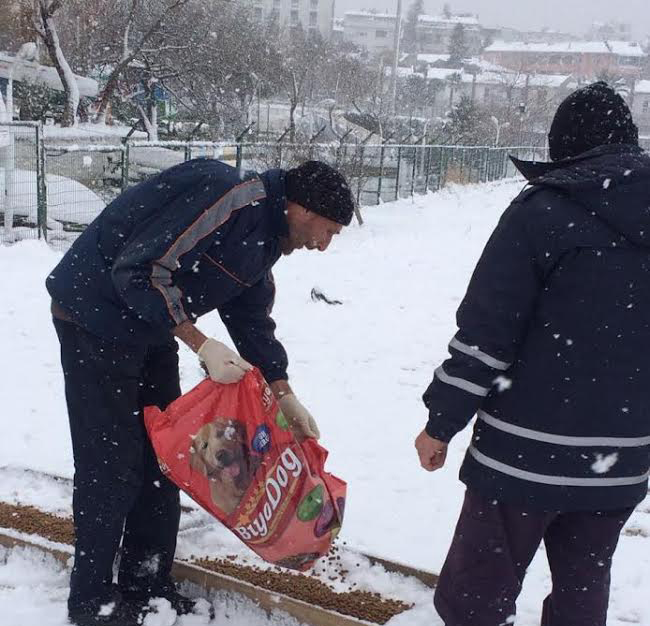 Darıca’da sokak hayvanları unutulmadı
