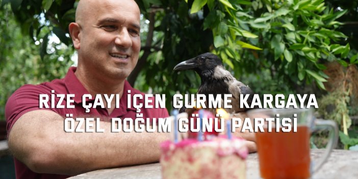 Rize çayı içen gurme kargaya   özel doğum günü partisi