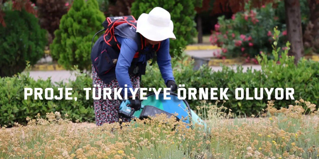 TABİP projesinde 41 tür bitkinin hasadı yapıldı
