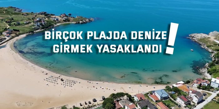 Kandıra'da birçok plajda denize girmek yasaklandı