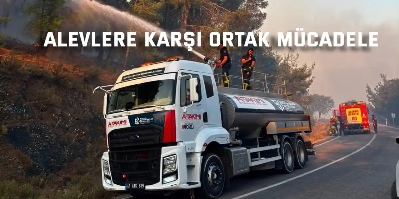 Alevlere karşı ortak mücadele