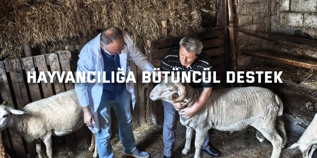 Hayvancılığa bütüncül destek