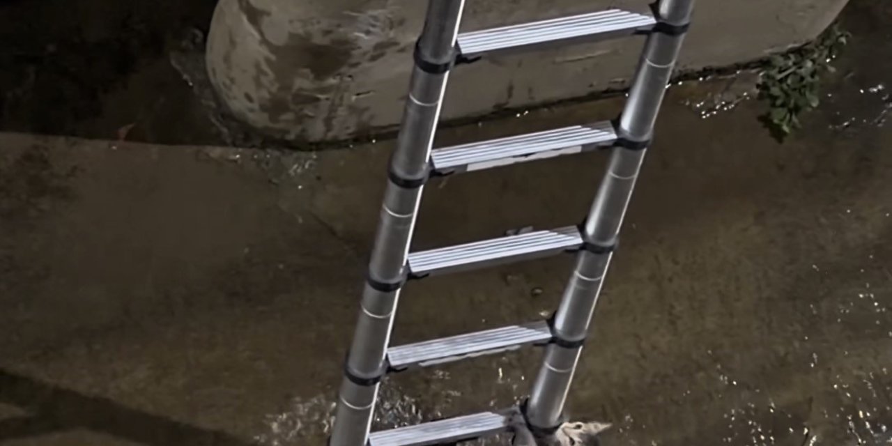 Merdiveni gördü, kendi kendini kurtardı