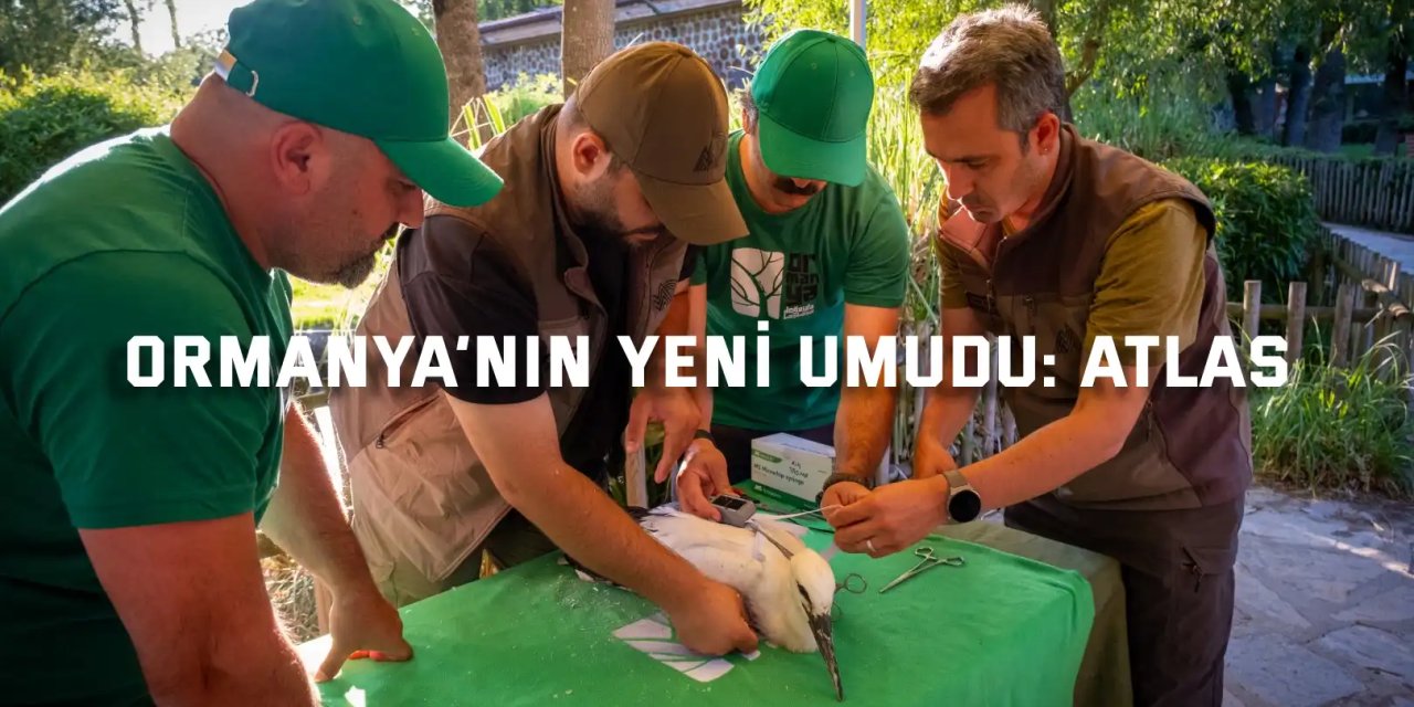 Ormanya’nın Atlas’ı yaban hayatına ışık tutacak