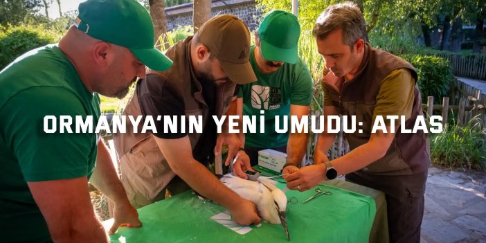 Ormanya’nın Atlas’ı yaban hayatına ışık tutacak