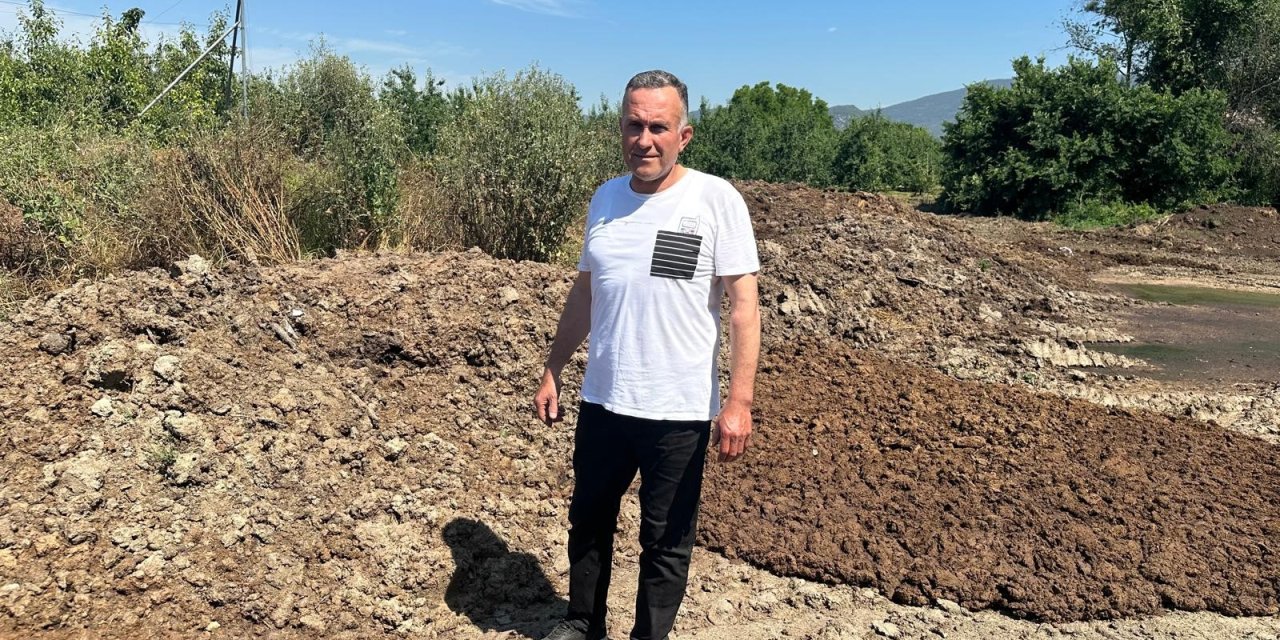 Hayvansal gübreyle nektarin ve armut üretiyor