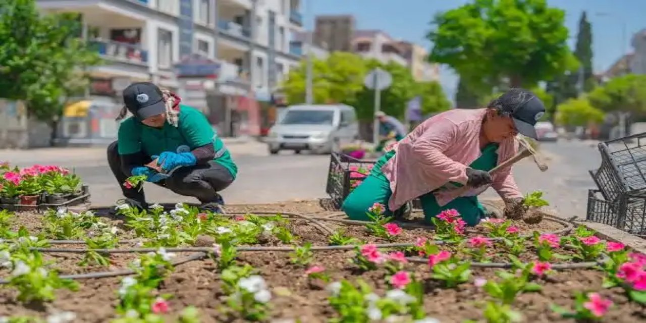Yem sektöründe yükselen maliyetler