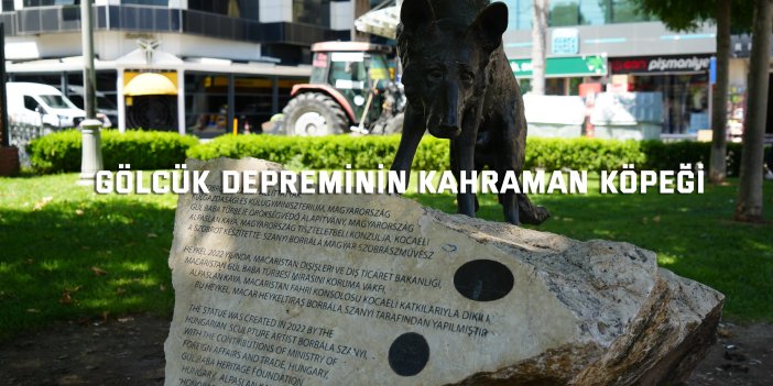 Gölcük depreminin kahraman köpeği