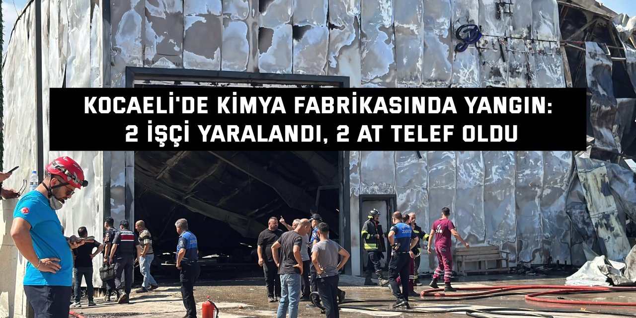 Kocaeli'de kimya fabrikasında yangın: 2 işçi yaralandı, 2 at telef oldu