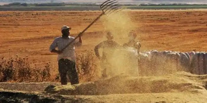 Tarım ürünleri üretici fiyat endeksi yıllık yüzde 18,81 arttı