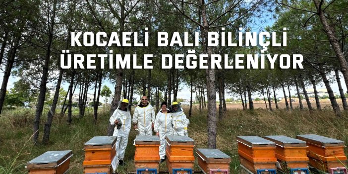 Bilinçli üretim, Kocaeli’nin balını Türkiye’ye taşıyor