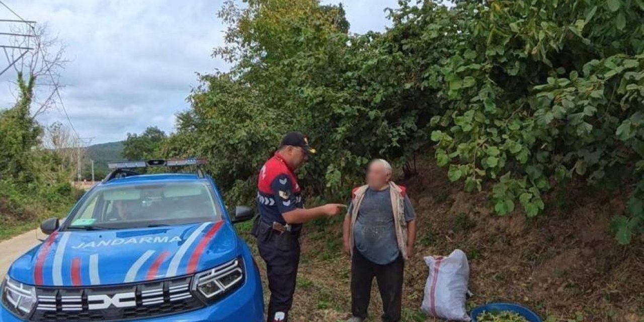 Fındık tarlalarında jandarma nöbeti