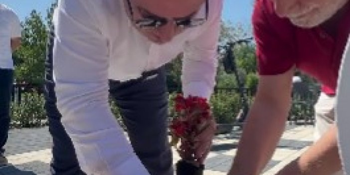 Park ve Bahçelere Saha İncelemesi