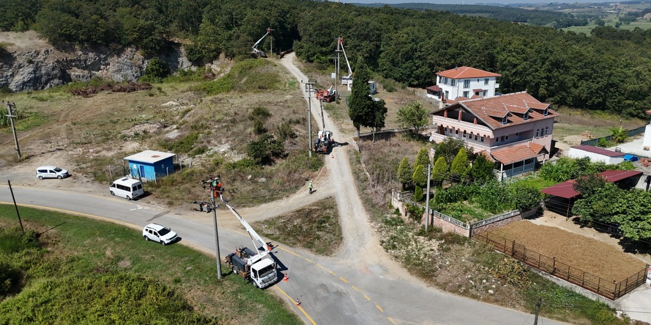 SEDAŞ’tan Göçmen Kuşların Güvenliği İçin Koruyucu Saha Çalışmaları