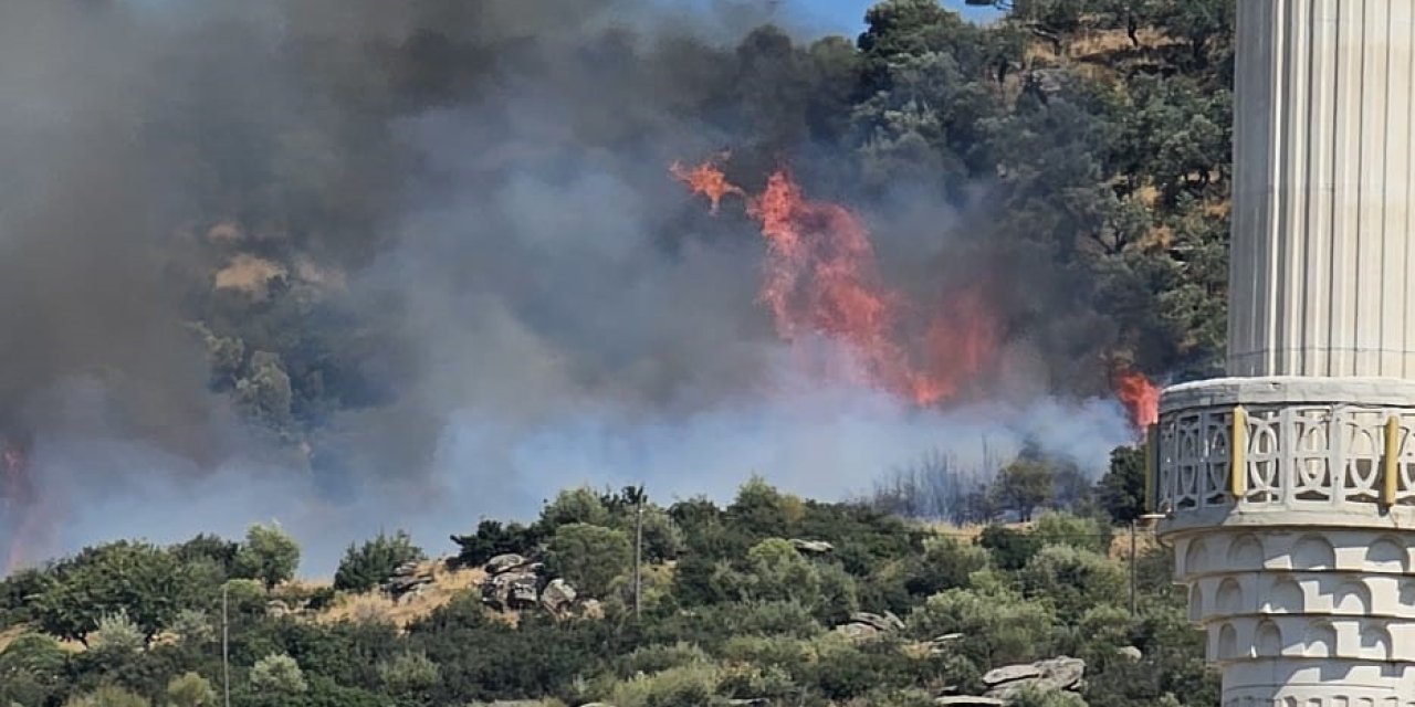 Gebze'de orman yangını başladı
