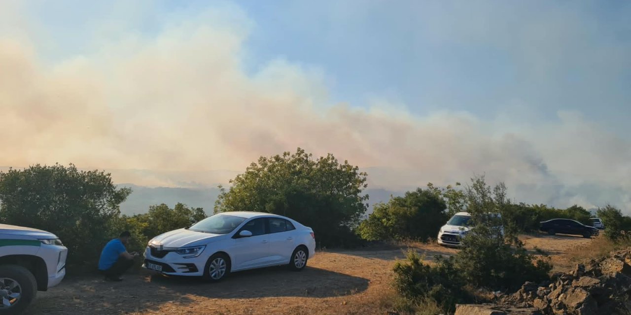 Kocaeli Valiliğinden Gebze'deki orman yangınına ilişkin açıklama