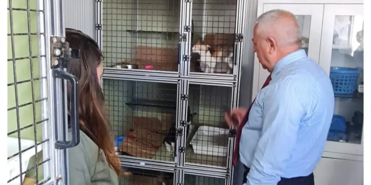Dilovası’nda Sokak Hayvanları  İçin Koordinasyon Toplantısı