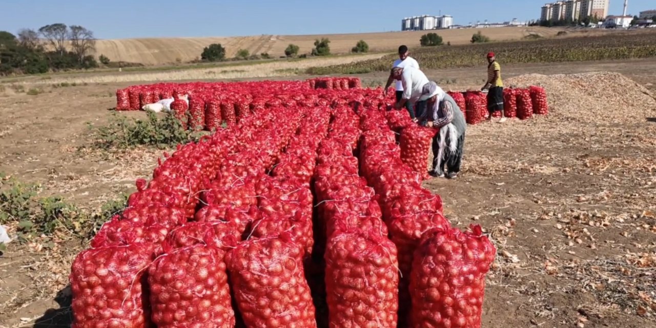 Bu soğan başka soğan