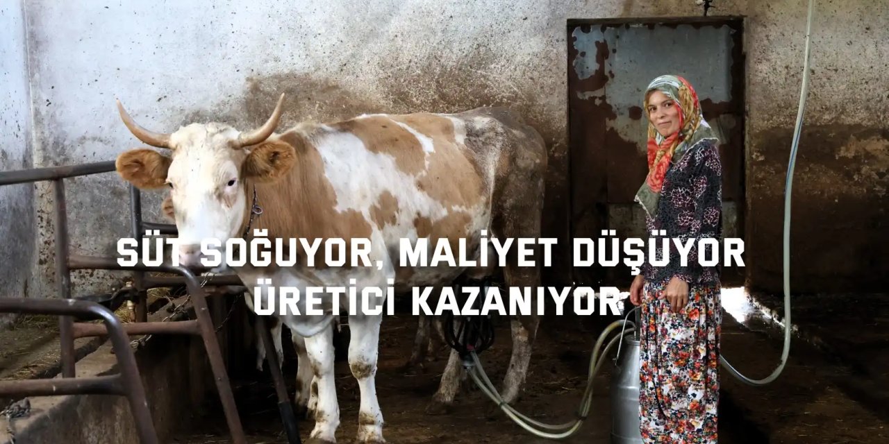Süt soğuyor, maliyet düşüyor, üretici kazanıyor