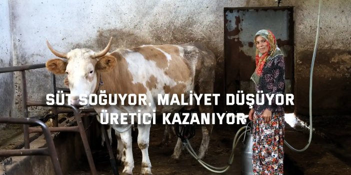 Süt soğuyor, maliyet düşüyor, üretici kazanıyor