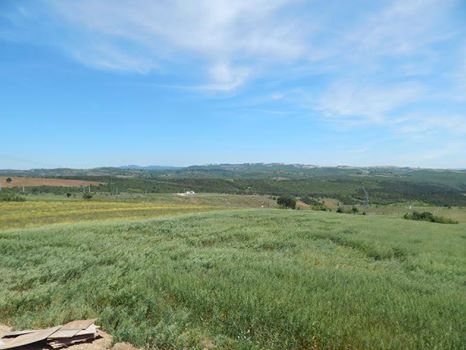 Tarım arazileri sanayi arazisine mi çevriliyor?